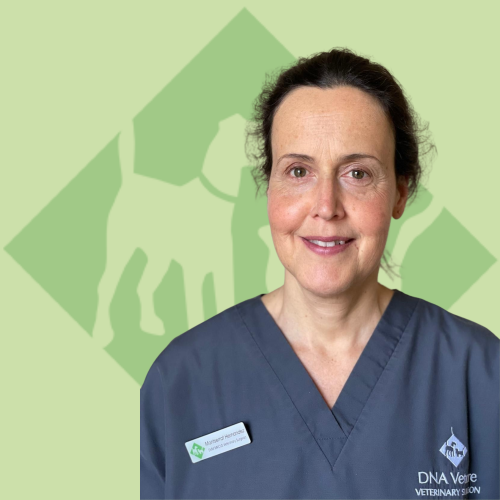 Montserrat DVM, MRCVS