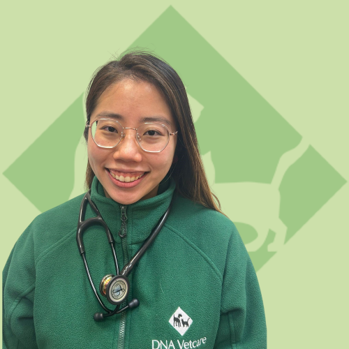 Cheryl- DrMedVet MRCVS