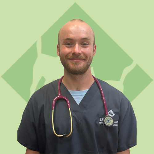 Matthew- BVMedSci, BVM, BVS, MRCVS