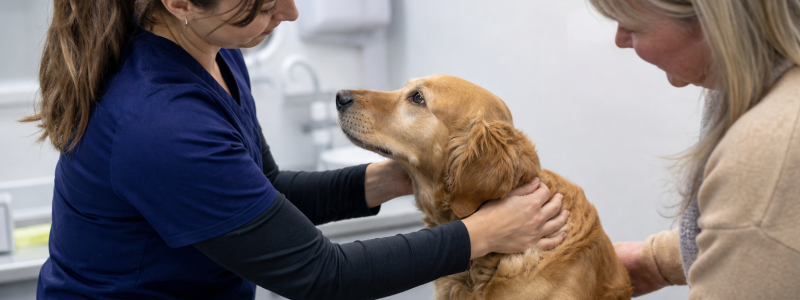 How Preventative Healthcare Saves Money