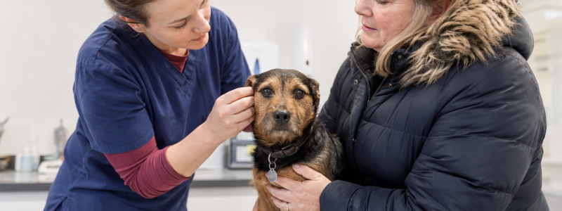 Supporting Animal Charities in North Lincolnshire