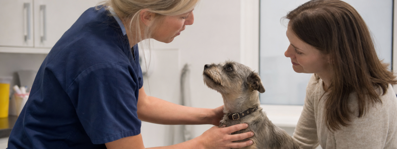 How 0% Finance Helps Pet Owners in Barton