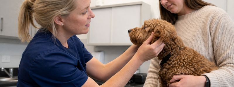 Advanced Surgery Options in Barton