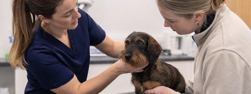 How to Book a Vet Appointment in Barton-upon-Humber